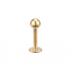 Labret Stahl Mit Kugel Goldfarben 1.2 × 3 mm