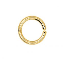 Clip-On-Ring Stahl Goldfarben 2.5 mm