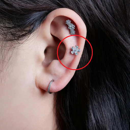 Labret tytanowy srebrny cyrkonie Kwiatek 1.2 х 8