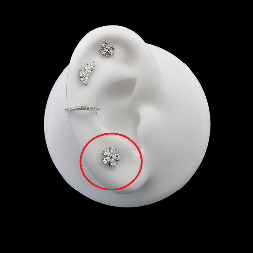 Labret tytanowy srebrny cyrkonie Kwiatek 1.2 х 8