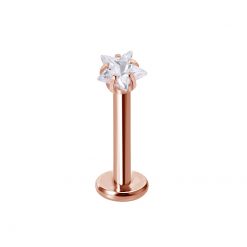 Labret Chirurgenstahl Roségold Stern Transparent 1.2 × 8 mm