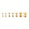 Fake-Plug Tunnel Roségold 3 mm - 14 mm 1 Stk. - piercinglux.com