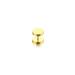 Fake-Plug Tunnel Goldfarben 3 mm - 14 mm 1 Stück