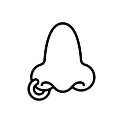 Nasenpiercing